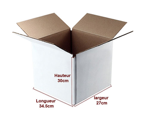 carton-livre